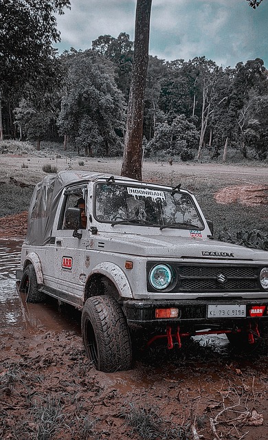 一场重量级 一场重量级