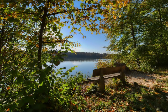 本次八强战 本次八强战