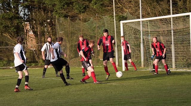 开始重新审 开始重新审