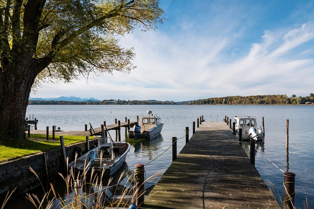 中国乒乓球 中国乒乓球